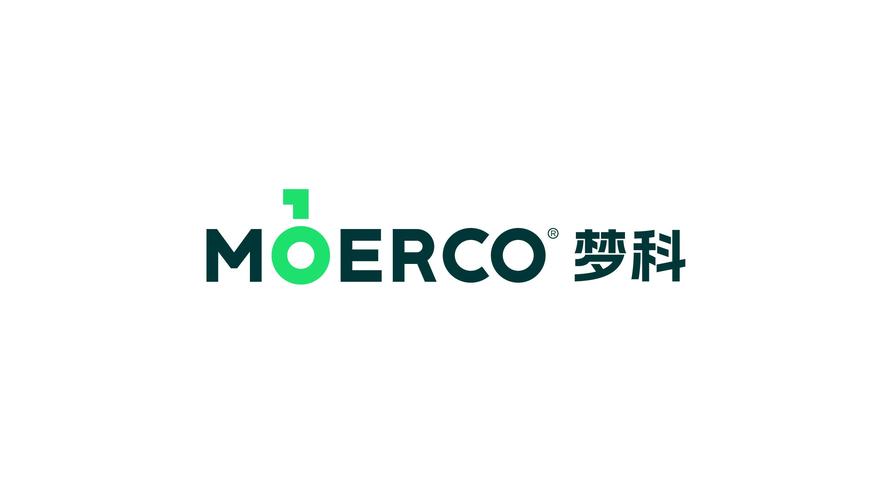 軟件開發(fā);計算機軟硬件及外圍設備制造;集成電路芯片及產品制造;信息